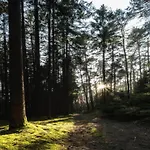 In Burggrub Mit Sauna Und Garten Appartamento