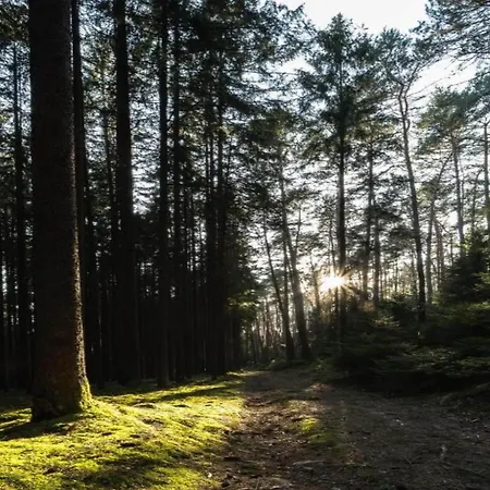 In Burggrub Mit Sauna Und Garten Appartamento